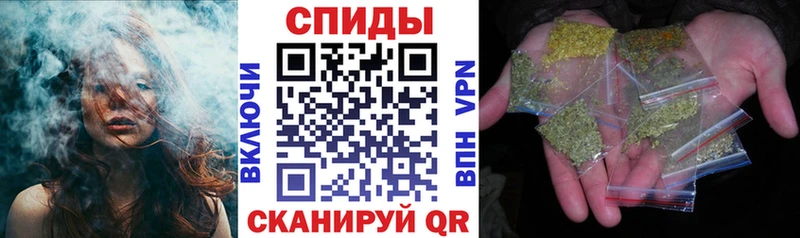 Бутират буратино  Псков 