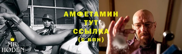 эйфоретик Тайга