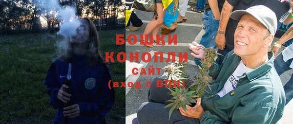 мдпв Тобольск