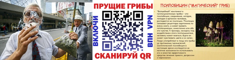 где купить наркоту Псков Галлюциногенные грибы Magic Shrooms