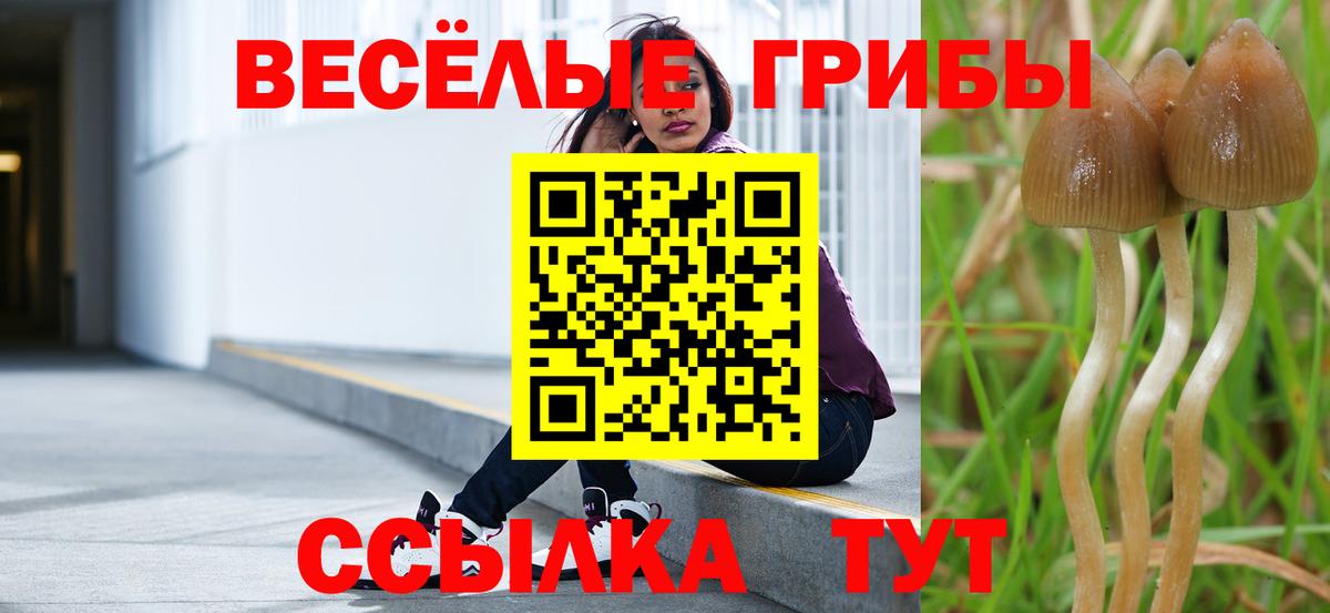 Псилоцибиновые грибы мухоморы Псков