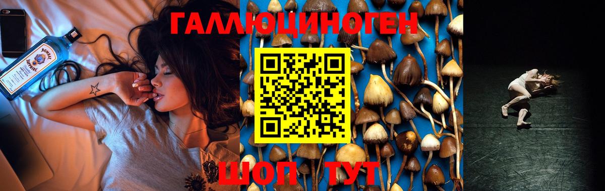 Псков  Галлюциногенные грибы MAGIC MUSHROOMS  Вход с VPN 